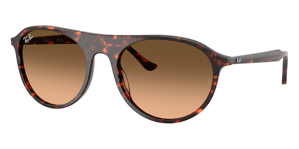 Ray-Ban RB 2215 1429/3B