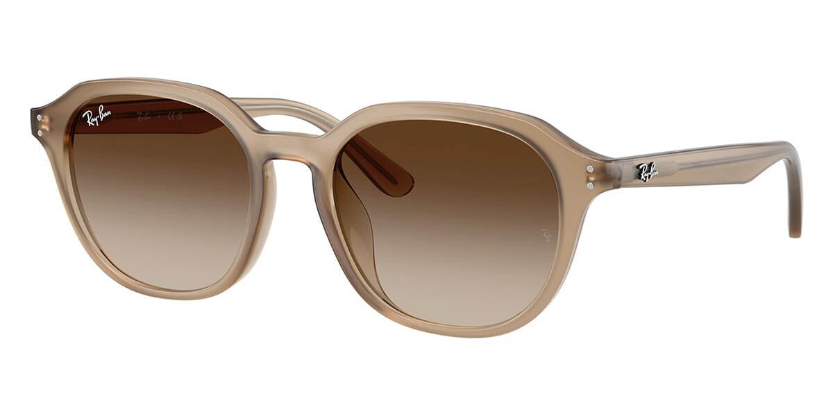Ray-Ban RB 4459D 6166/13